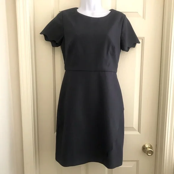 Loft Short Sleeve Scalloped Sheath Dress. Size 2 - Picture 2 of 5